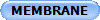 MEMBRANE